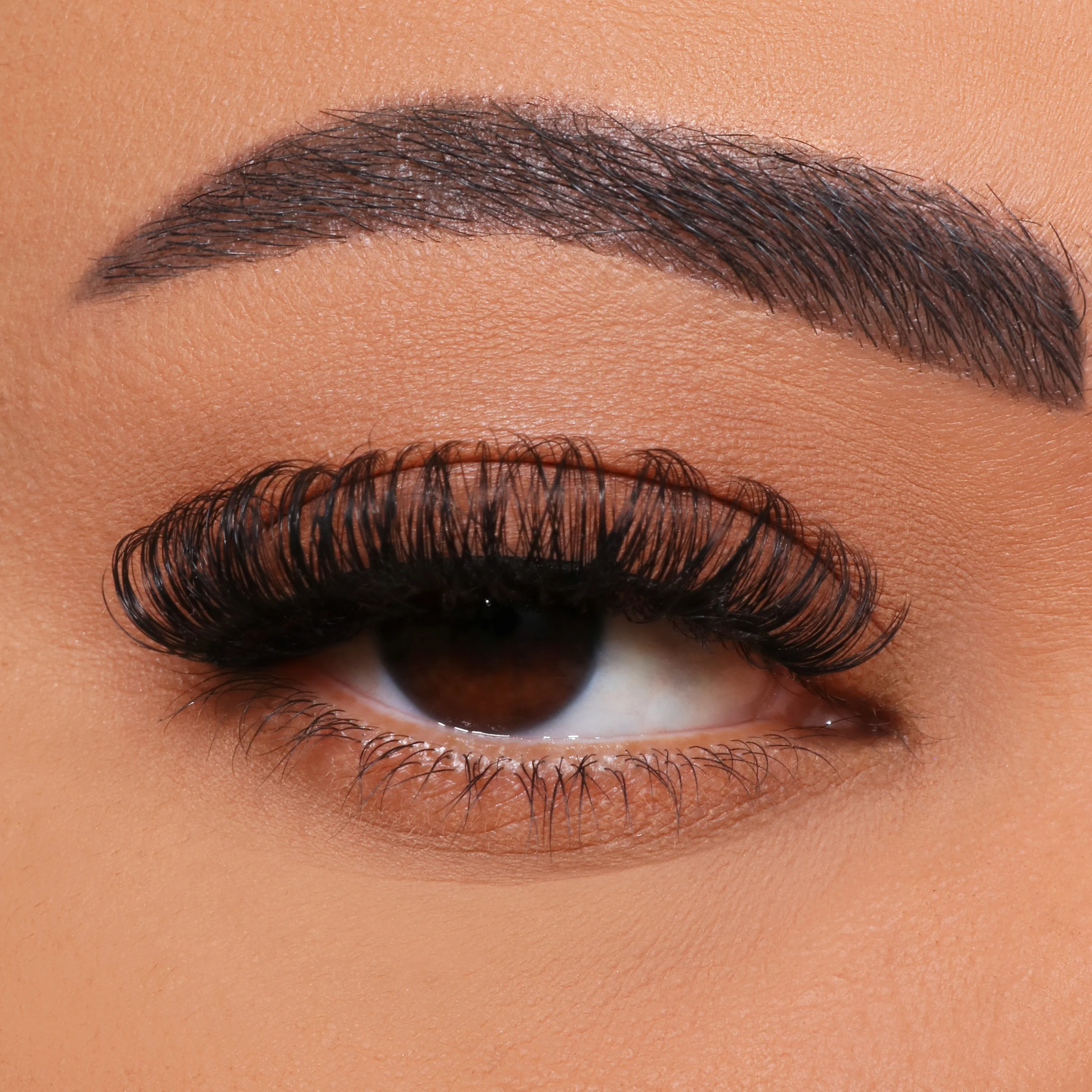 Jak DIY Multi-Vlower Eriesh Hangiting?